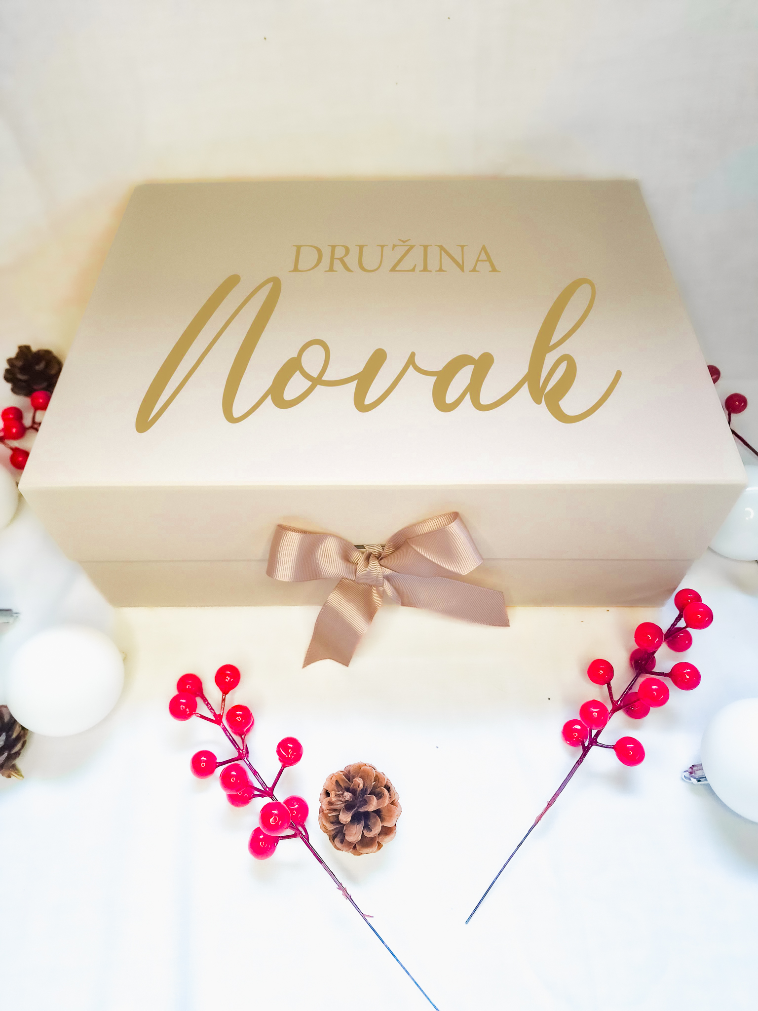 NOVAK družina